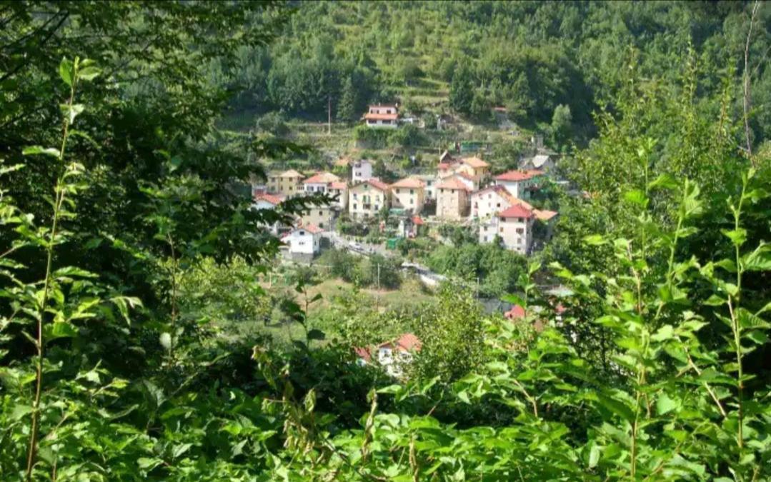 Il Non Ti Scordar Di Me Villa Valbravenna ภายนอก รูปภาพ