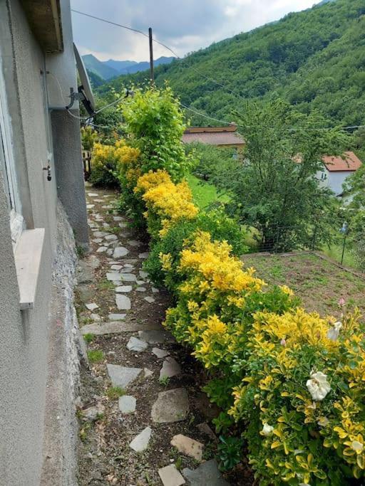 Il Non Ti Scordar Di Me Villa Valbravenna ภายนอก รูปภาพ